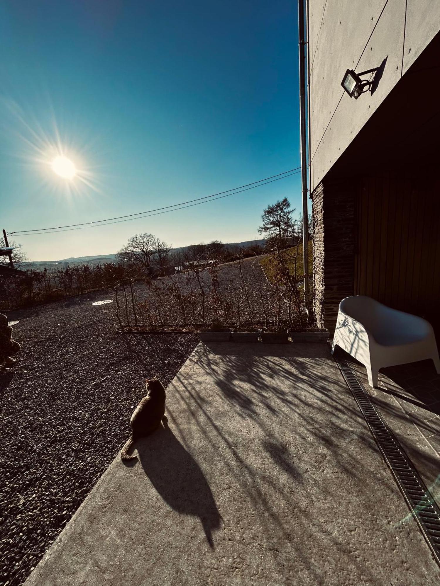 Aparthotel La Planque Du Raton Laveur Lierneux Exteriér fotografie